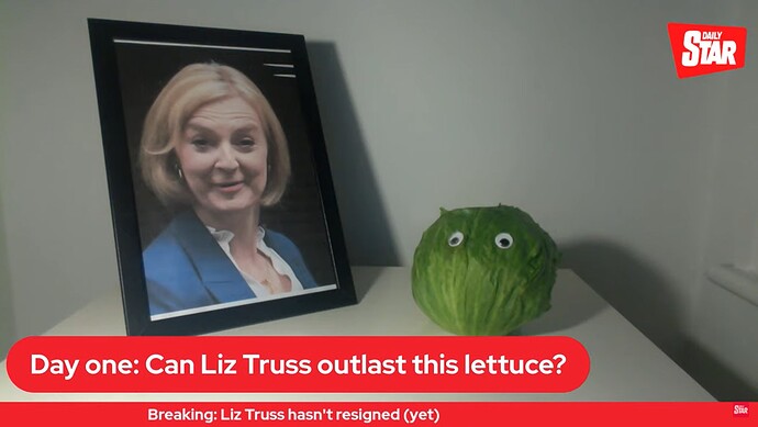 Truss vs Lettuce